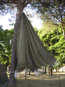 DSCN2957