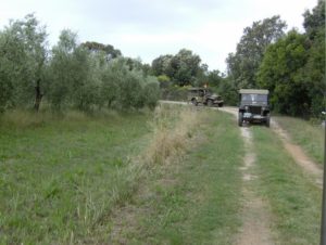 28 e 29 maggio 2016 047_797x600