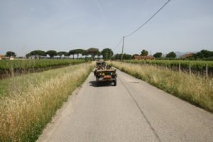 IMG_7787_800x533