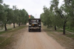 IMG_7950_800x534