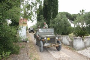 IMG_7973_800x534