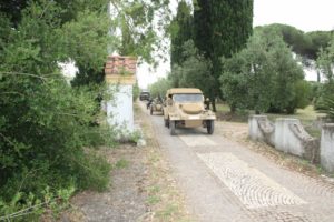 IMG_7977_800x534