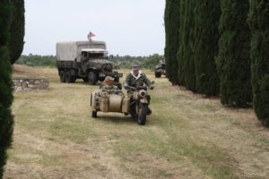 IMG_8037_800x534